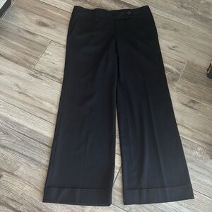 Ann Taylor Loft size 8 Black pants in Marisa style.